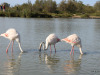 01-IMG_3405