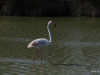 02-IMG_3417