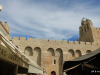 10-IMG_3445