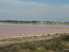 19-IMG_3475
