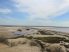 22-IMG_3480