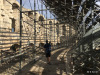 30-IMG_9752
