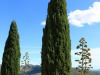 24-IMG_3673
