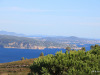31-IMG_3688