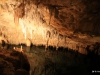 21-IMG_0014
