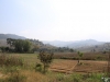 11-IMG_3939