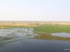 10-IMG_2522