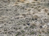 68-IMG_2890