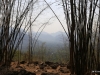 14-IMG_4778