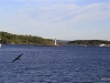 8-_MG_2828