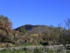 22-_MG_9623