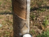 45-IMG_5280
