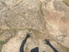 11-IMG_9437
