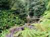 Azoren_Sao_Miguel_103 Azoren_Sao_Miguel_103