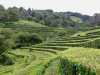 Azoren_Sao_Miguel_146 Azoren_Sao_Miguel_146
