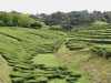 Azoren_Sao_Miguel_149 Azoren_Sao_Miguel_149