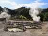 Azoren_Sao_Miguel_24 Azoren_Sao_Miguel_24