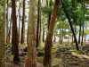 Azoren_Sao_Miguel_42 Azoren_Sao_Miguel_42