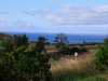 Azoren_Sao_Miguel_7 Azoren_Sao_Miguel_7