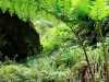 Azoren_Sao_Miguel_74 Azoren_Sao_Miguel_74