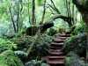 Azoren_Sao_Miguel_75 Azoren_Sao_Miguel_75