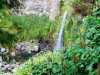 Azoren_Sao_Miguel_78 Azoren_Sao_Miguel_78