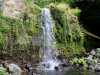 Azoren_Sao_Miguel_83 Azoren_Sao_Miguel_83