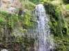 Azoren_Sao_Miguel_85 Azoren_Sao_Miguel_85