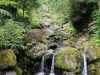 Azoren_Sao_Miguel_94 Azoren_Sao_Miguel_94