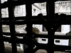 26-IMG_9686