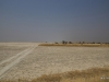 11-IMG_2407