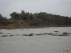 zuid-afrika-2007_0580